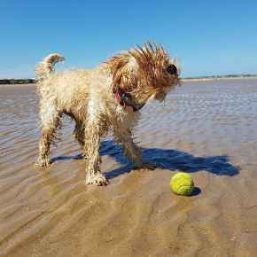 Picture for category Stay Cool Summer Supplies